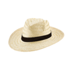 Sombrero Polo