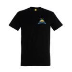Remera negra con diseño Argentina y tres estrellas en el pecho